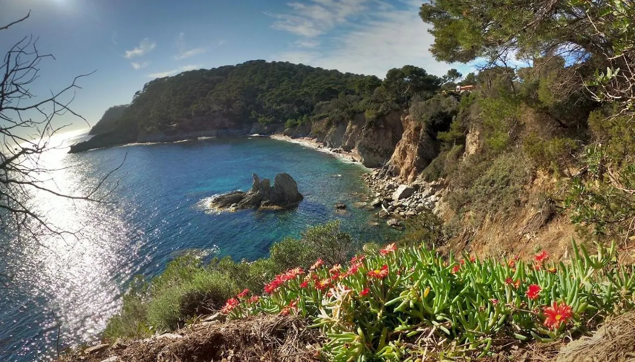 Studio Residence Bona, Vue Hippodrome Et Mer, Clim Hyères Appartamento